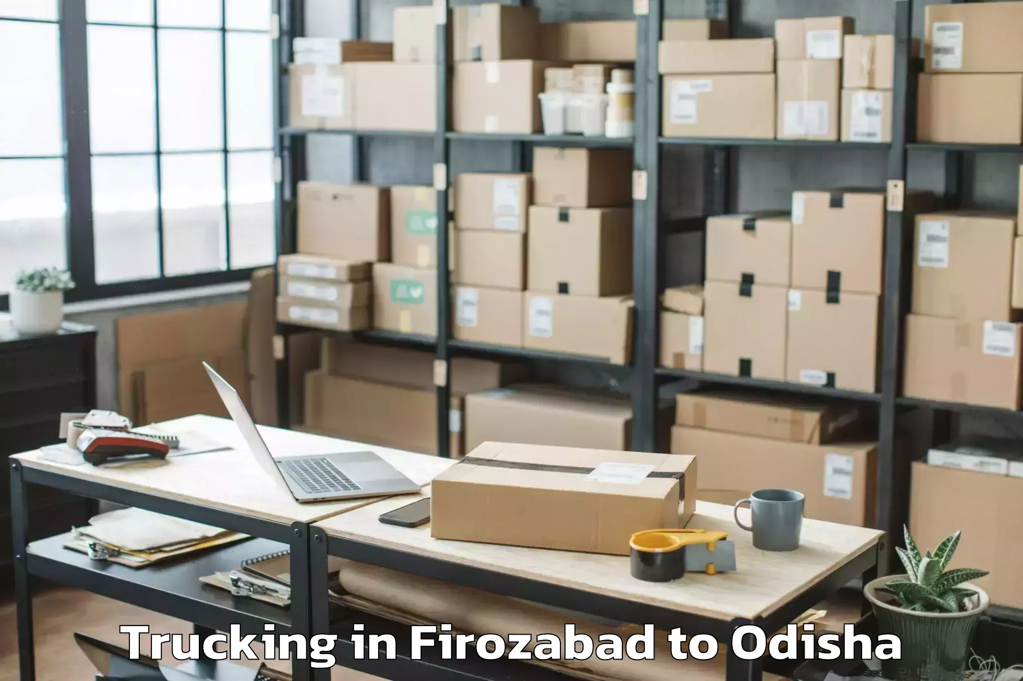 Book Firozabad to Nimapara Trucking Online